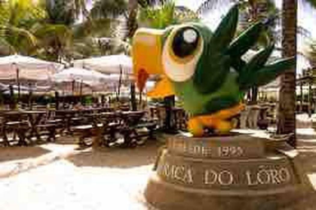 Pe Na Areia Vista Total Mar - O Paraiso E Aqui! Salvador Bagian luar foto